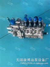 BQT4A-1.0.0-06QC(BH4Q75R8)四缸油泵  T-300-1600Z编号4Q310HC/4Q310HC14Q310HC