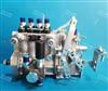 山东康达高压油泵总成4Q248KM-1适用BQ4A-1.0.0-06h(BH4Q85R8)  T-300-900旧发动机/4Q248KM-1