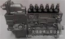 BP14A4锡柴CA4DF3-13E3F车用高压油泵原装正品1111000-580-44401111000-580-4440