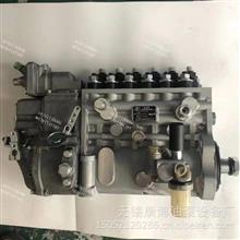 BP1986A锡柴CA4DX23-11E3F车用高压油泵原装正品1111100AA06-TX1AW1111100AA06-TX1AW