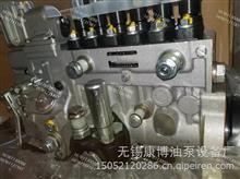 BP1954锡柴CA4DX22-120车用高压油泵原装正品1111100AA22-YF1AX1111100AA22-YF1AX