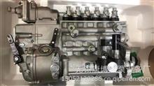龙口高压油泵BP20Z4A上柴SC12E430Q3B原装正品 主机厂编号：S00016678+01S00016678+01