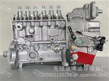 CA6DM-39E3F锡柴1111010-M80-0000L 工厂直供BOSCH喷油泵BP22D41111010-M80-0000L