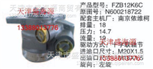 南京依维柯  N600218722  FZB12K6C  转向助力泵N600218722  FZB12K6C