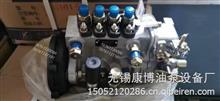 山东康达高压油泵总成4QD594适用江动BQT4A-06YN(BH4Q85R8) T-300-750发动机4QD594
