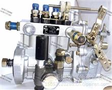 燃油喷射油泵总成4QTF52适用成内BH4QT85R9 T-300-1000Z发动机4QTF52
