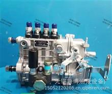 燃油喷射油泵总成4QT32适用华丰BQT4A-1.0.0-06Y(BH4QT90R9)  T-300-1000Z发动机4QT32