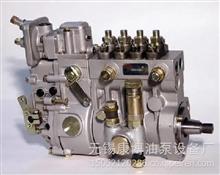 燃油喷射油泵总成4QTF20T-1适用扬动BH4Q80R8   T-300-1600F发动机4QTF20T-1/4QTF20bc-1