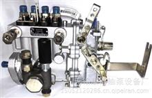燃油喷射油泵总成4QTF11适用新柴BH4QT80R9  T-300-1600F发动机4QTF11