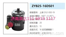 ZYB25-16DS01上柴发动机动力转向泵方向助力泵液压油泵D52-000-19