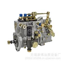 燃油喷射油泵总成4QTF101适用云内T4A-06YN(BH4QT85R9)  T-300-750旧发动机4QTF101