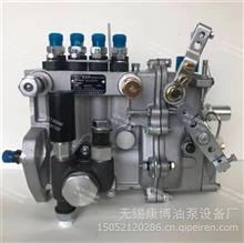 燃油喷射油泵总成4QTF150适用成内T4A-06Y(BH4QT90R9) T-300-1600F发动机4QTF150