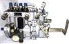 燃油喷射油泵总成4QT128适用扬动BH4QT95R9  T-300-750旧发动机/4QT128