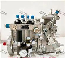4QT231燃油喷射油泵总成适用全柴T4A-06QC(BH4QT90R9)发动机T-300-1200Z4QT231