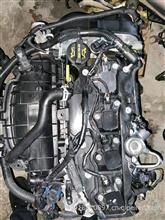2013款福特翼虎16T发动机总成，缸盖总成，缸体二手拆车咨询电话159-1881-0897微信同步