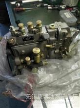 4QT306燃油喷射油泵总成适用常发4A-06b-1(BH4QT95R9)发动机T-300-7504QT306