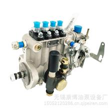 4QT315燃油喷射油泵总成适用福田4A-06b-1(BH4QT90L9)发动机T-300-9004QT315