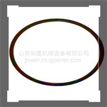 75191-3104020-01Rubber seal with the spring别拉斯配件供应75191-3104020-01