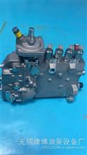4QTD429燃油喷射油泵总成适用常柴BQ4A-1.0.0-06b-1(BH4QT90R9)发动机T3007504QTD429