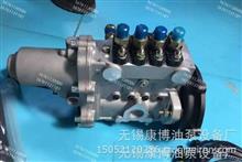 4QT548燃油喷射油泵总成适用云内BQT4A-1.0.0-06YN(BH4QT90R9)发动机T3001300Z4QT548