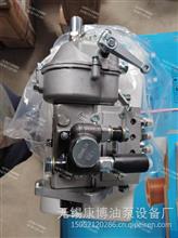 4QT646燃油喷射油泵总成适用全柴T4A-06QC(BH4QT85R9)发动机T3001600Z4QT646