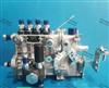 山东康达高压油泵总成4QT753适用常柴BH4QT95R9发动机T3001100Z 4QT753