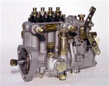 山东康达高压油泵总成4QTZ909适用俄罗斯BQT4A-1.0.0-06ELS(BH4Q95R8)发动机T3001200F4QTZ909