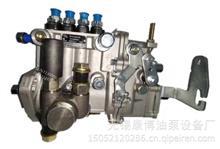 山东康达高压油泵总成4QT911适用常立发BQ4A-1.0.0-06b1(BH4QT90R9)发动机T30015004QT911