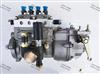 山东康达高压油泵总成4QTD1034适用扬动T4A-06h3(BH4Q80R8)发动机T3001200Z/4QTD1034