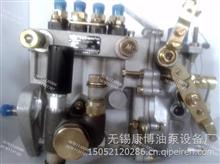 山东康达高压油泵总成4Q463适用朝柴BH4Q70R8 T-300-1600Z发动机4Q463