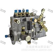 山东康达高压油泵总成4Q532L适用锡柴BQT4A-1.0.0-06Y(BH4Q85R8)   T-300-1200Z发动机4Q532L