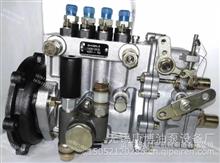 山东康达高压油泵总成4Q510适用全柴BQT4A-1.0.0-06QC(BH4Q80R8)  T-300-1300Z发动机4Q510