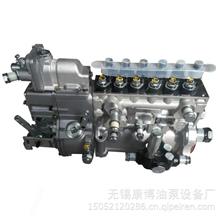 适用锡柴CA6DL1J-28-D382原装威孚6P1133EP燃油泵喷油泵总成BHF6P120202