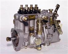 山东康达高压油泵总成4QZ548适用常柴BH4Q85R8 T-300-1600F发动机4QZ548