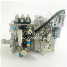 洛拖发动机燃油泵T832080037