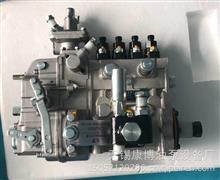  BH4P120  230761272 正品龙口泵用于sdec D4114ZLQ3BBH4P120
