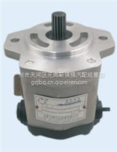 QC18/13-D14XZ助力泵D52-000-33+CD52-000-33+C