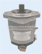 QC25/19-KMS-SQ助力泵W20804.00300.01WW20804.00300.01W