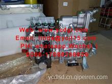 fuel pump 喷油泵1NQ300-1111100 FOR YC4E90-30/1NQ300-1111100-493
