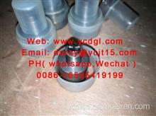 Oil delivery valve 出油阀 13059430 for weichai /13059430