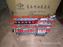 fuel pump 高压油泵 13059430 for weichai /13059430 