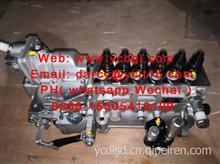 fuel pump 高压油泵 BP51F0 FOR WEICHAI /BP51F0 
