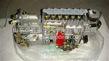 重汽豪沃金王子豪运WD615发动机喷油泵高压油泵喷射泵总成（两气门EGR95机）VG1095080100VG1095080100