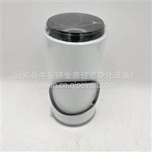 P50-5957 中国制造燃油滤清器滤芯P505957