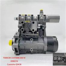 博世喷油泵F00BC00124/F00BC00018  4306516 适用于康明斯Cummins QSK38的挖掘机F00BC00124