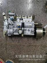 原厂无锡威孚喷油泵6AW1102总成1001090098 适用于锡柴AKG5-DG1B 1111000-017-DG1B6AW1102