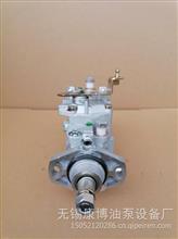 VE泵22100-5C480发动机燃油泵总成 196000-2081 适用于TOYOTA 发动机22100-5C480