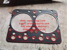 Cylinder head gasket  汽缸垫  for  Shangchai 6135 /6135