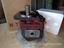Gear pump 齿轮泵 11C2308  for XGMA / 11C2308 