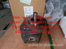 Gear pump 齿轮泵L60301000026、CBAp2025/L60301000026、CBAp2025